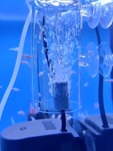 หินฟองทรงกระบอก หัวทรายละเอียด หัวทรายออกซิเจน เพิ่มออกซิเจนตู้ปลา