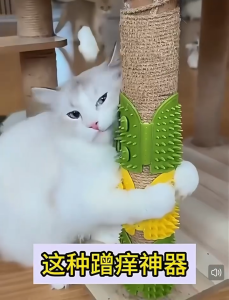 Adjustable Cat Massage Comb for Hair Grooming Relax Rubber Massage De-fluffing Brush Smooth Hair