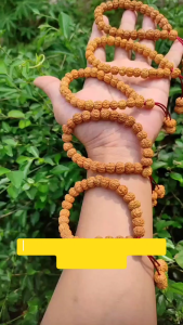 Rudraksha Gelang Jenitri Motif 2