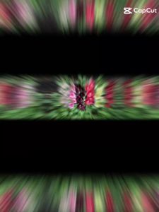 hạt)Hạt Giống Hoa Mãn Đình Hồng F1-Hoa Nở ĐẹpDễ Trồng (Gói 150