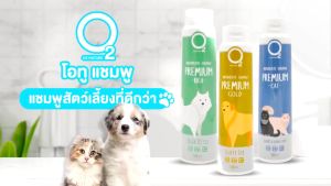 O2 Shampoo แชมพูแมว สูตรพรีเมียม กำจัดยีสต์และรา หอมทนยาวนาน สำหรับแมวทุกสายพันธุ์