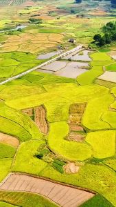 Beras Merah Super Cap Paris (1Kg)