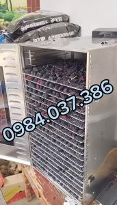 Máy sấy dâu tăm máy sấy hoa quả khô 20 khay 40x40