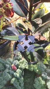 หมอกพ่นละออง 4 ช่องทาง สำหรับ รดน้ำต้นไม้ แปลงเพาะต้นไม้ พร้อมข้อความ 4 ช่องทาง