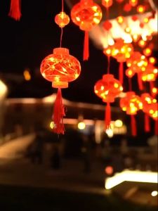 Dây đèn led rèm lồng đèn đỏ may mắn trang trí lễ Tết chống thấm ngoài trời (cắm điện)