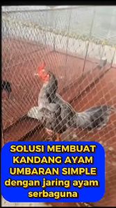 Jaring Anak Ayam Lubang 1 Jari ( 1 cm x 1 cm ) // Ukuran 2Mx10M