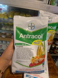 Fungisida ANTRACOL 70wp(isi bersih 500gram) adalah fungisida untuk berbagai macam tanaman