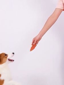 ขนมสูงสุนัข 110 กรัม, อาหารเสริมแคลเซียม ทำความสะอาดฟัน, บิสกิตแท่งกรามสูงสุนัข, ถูกเสริมจากขนมแมว อาหาร สูงสุนัข 110 กรัม D&C House