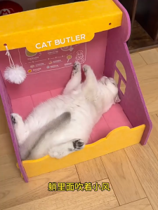 สักหลาดนอน ที่นอนแมว บ้านแมว ของเล่นแมว เบาะแมว อุโมงค์ กึ่งปิด เตียงแมวรับหน้าร้อน รูปทรงน่ารัก นอนได้ เล่นได้ ทำให้แมวรู้สึกปลอดภัย ร้านกาแฟ ร้านเค้ก ส่งของในไทย