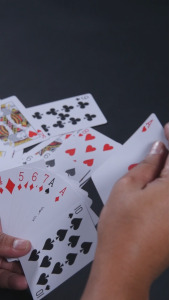 Elite PVC Playing Cards - Royal Casino
