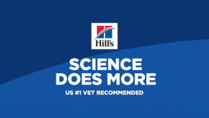 Hills Science Diet Adult 7+ Senior Vitality Chicken and Rice Recipe Dry Dog Food 9.8kg