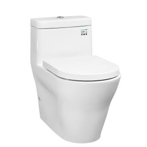 Straight Flush Elevating Pump Freely Adjustable Nozzle Toilet