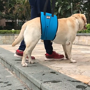 Braun Mall- เบอร์ M/XL 1ชิ้น (วัดรอบตัวก่อนสั่ง) อุปกรณ์พยุงตัวสุนัข#แผ่นพยุงสุนัข#อุปกรณ์กายภาพสุนัข#แผ่นรองช่วยยกตัวสุนัข