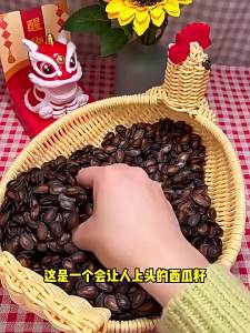 Plum Flavored Large Kernel Sunflower Seeds