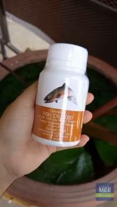 น้ำมันปลา น้ำมันกิฟฟารีน น้ำมันตับปลา Fish oil โอเมก้า3 สมอง ความจำทานได้ทุกวัน ทุกวัย แท้มีใบเสร็จ