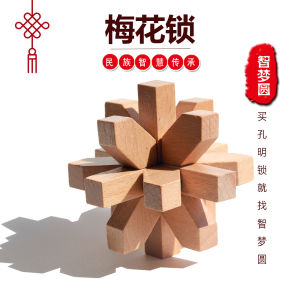 Mật Khẩu Hoa Mận Gỗ Độ Khó Cao Đồ Chơi Giáo Dục Cho Người Lớn Và Trẻ Em Đồ Chơi Gỗ Giải Trí
