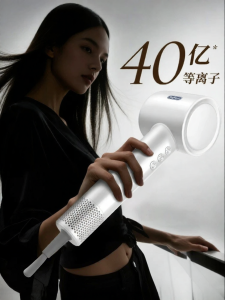 Baylegor | Ion Protecting Fast Drying Hair Care Blow Dryer