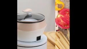 IQONICA Stainless Steel Multi Cooker with Steamer – Electric Frying Pan & Portable Cooking Pot