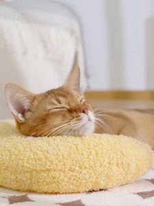 JINGLEBELL Bantal Kucing U Shape Pet Cat Pillow 猫咪枕头宠物U型枕