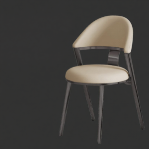 DUOBAOFUXING | Luxurious Minimalist Stainless Steel Chair