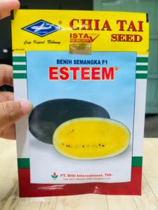 Benih Semangka ESTEEM isi 20 gr dari Cap Kapal Terbang