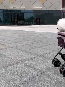 Pet Stroller with Removable Carrier Folding Stroller for Small/Medium Dogs and Cats Waterproof All-Terrain with Sun Shades Car Seat