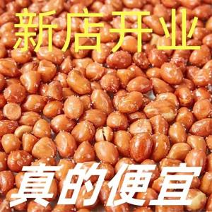 Salted Fried Snack Peanuts 2.5kg