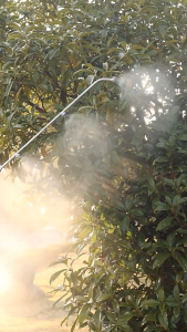 ก้านพ่นยาสแตนเลส ก้านพ่นน้ำ สแตนเลส 3 หัว 4 หัว 5 หัว 6 หัว ก้านพ่นยา (ราคาถูก) เกลียวใน 14 มิล