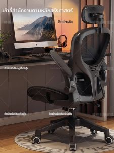 YIMEICAIJU | Ergonomic Comfort Office Chair