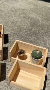 Rail – ชั้นไม้รางวางแคตตัส ทำจากไม้แท้ ดีไซน์มินิมอล มีหลายความยาว