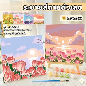 Chang ระบายสีตามตัวเลข DIY ภาพวาดมือ สีน้ำมัน ความคิดจิตนาการจิตกรน้อย ตกแต่งสีอะคริลิก Oil painting