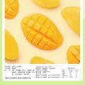 Mango Dried Fruit Snack 60g Sweet And Sour BE＆CHEERY Dried Fruit Candy Leisure Food from Zhejiang Province in Mainland China. 
