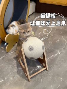 Interactive Stand up Cat Scratching Board Wear Resistant No Shedding Wearable for Medium Size Cats Toy for Kittens