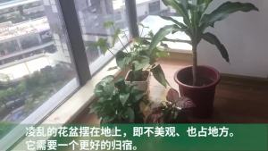 Kệ Hoa Bên Trong Và Bên Ngoài Kệ Hoa Nhiều Tầng Phòng Khách Ban Công Kệ Hoa Sàn Kệ Hoa Thông Quan Kệ Hoa Mẫu Mới Trong Nhà Gia Dụng Trong Và Ngoài