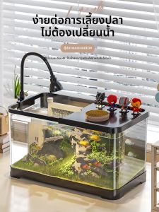 HUICHONG | Hệ Thống Lọc và Cung Cấp Oxy cho Bể Cá Vàng và Rùa Nhỏ