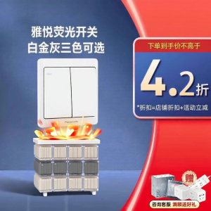Panasonic | YaYue 86 Type Dual Control Switch Panel With Fluorescent Indicator