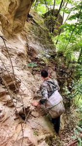 VÒNG TAY CHUỖI GỖ LỤC ĐẠO MỘC LIÊN HOA 20ly TẶNG HỘP ĐỰNG