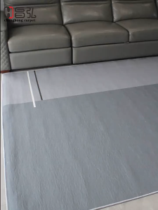 Modern living room non-slip thickened aesthetic carpet floor mat bedroom home life carpet decoration