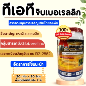ทีเอที จิบเบอเรลลิก สารควบคุมการเจริญเติบโตของพืช ใช้เพิ่มสัดส่วนดอกเพศผู้ ของแท้100% ขนาด 5 กรัม