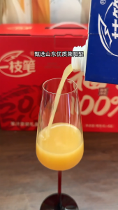 [Yi Zhi Bi] 100% Laiyang Pear Juice 1L x 12 Packs Singapore