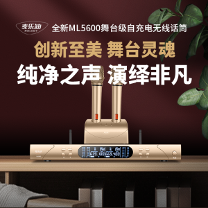 Wireless Microphone KTV Performance Professional Handheld Ultra-cardioid P2 Martin ML5600 Home Use Singing Stage Conference