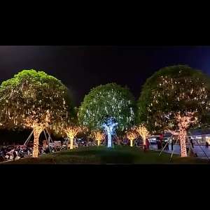 30/50cm Solar LED Meteor Shower Rain Lights Diwali Fairy Lights for Party Street Tree Holiday Roof Wedding Decoration