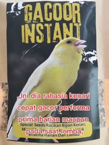 Pakan Kenari Biar Cepat Gacor Instant Gacor