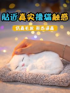 High-Endที่ไม่ซ้ํากันเด็กของขวัญวันเกิดสําหรับสาวเพื่อนชายสร้างสรรค์น่ารักตกแต่งเครื่องประดับของขวัญกล่อง