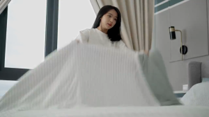 Russell Taylors Dust Mite Vacuum Cleaner VM-10