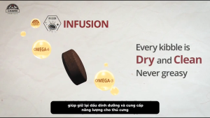 [Cao cấp] Hạt cao cấp cho mèo CHARM 2kg - Thức Ăn cho Mèo Sản Xuất Tại Mỹ