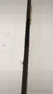 10 Gói Bả diệt kiến diệt hết cả ổ an toàn cho con người - động vật