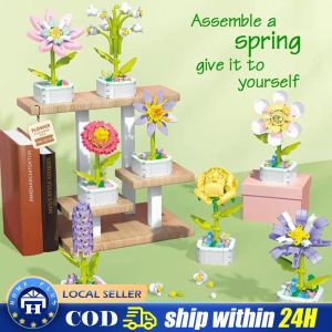 【Local Delivery】 3D Model Toy Blocks Mini Building Block Plant Potted Rose Flower Assembly Brick Toys for Girls Kids Adult Christmas Gift HSQ-Eternal-Flower-Block