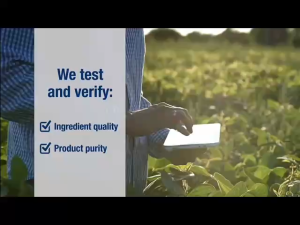 Herbalife Meal Replacement Shake: A Nutritious Dietary Supplement