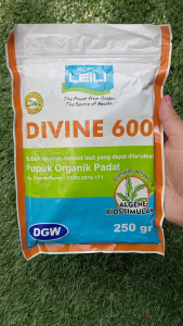 Pupuk Organik DIVINE 600 LEILI 250 Gram